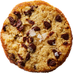 Crispy Chocolate Chip