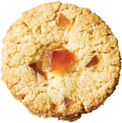 Ginger Cookie Recipe